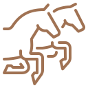Icon1