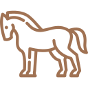 Icon2